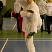 Sverige2008