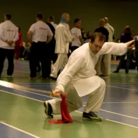 Sverige2008