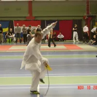 Sverige2008