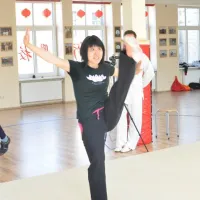 Li Žin