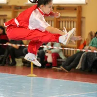 Wulin_1012