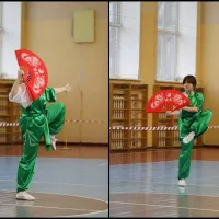 Wulin_1012