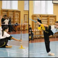 Wulin_1012