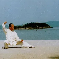 taichi