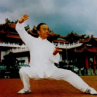 taichi