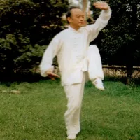 taichi