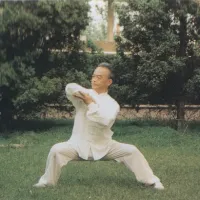 taichi