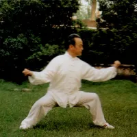 taichi